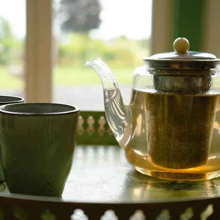 Les 3 Bilobas * Heron