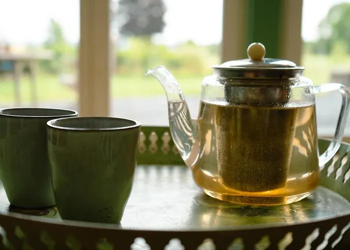 Les 3 Bilobas * Heron